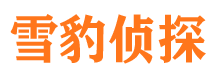 沿河市婚外情调查